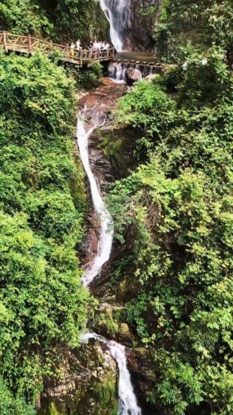 次元喵